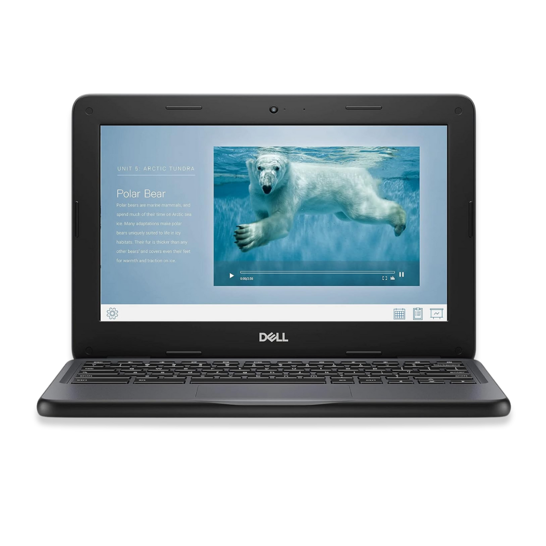 DELL CHROMEBOOK 3100 |4gb RAM | 16gb |Grado A |